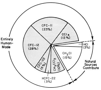 Primary Sources of Chlorine Entering the Stratosphere in the Early 1990s