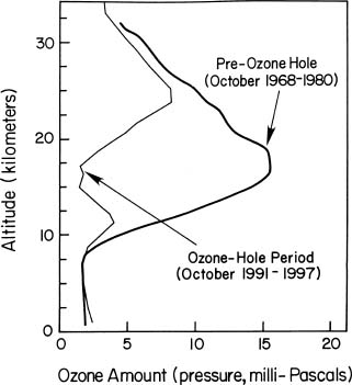 Springtime Depletion of the Ozone Layer over Syowa, Antarctica