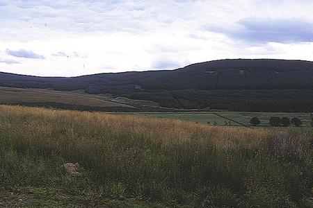 East