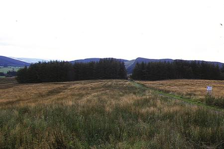 South