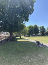 South