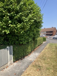 North